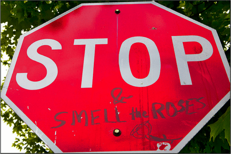 Smell the Roses!!