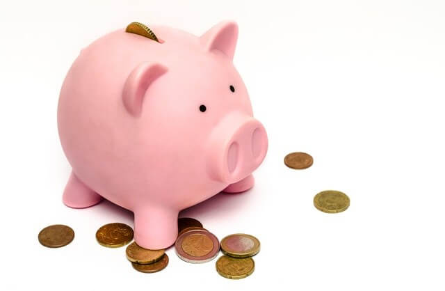 The Idiot’s Guide to the Reserve Bank’s View for 2011 & Onwards